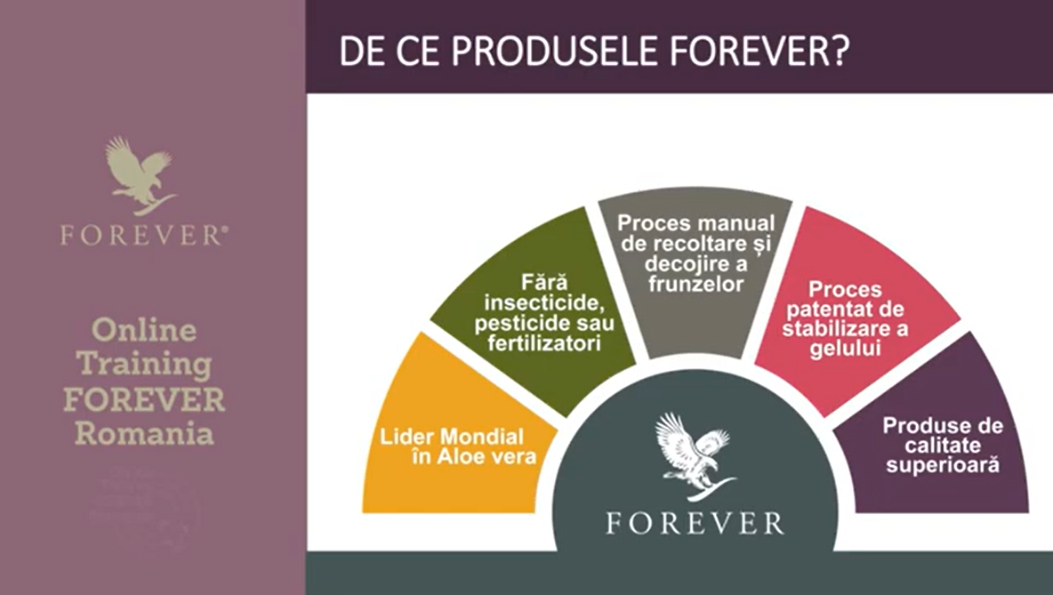 forever 4
