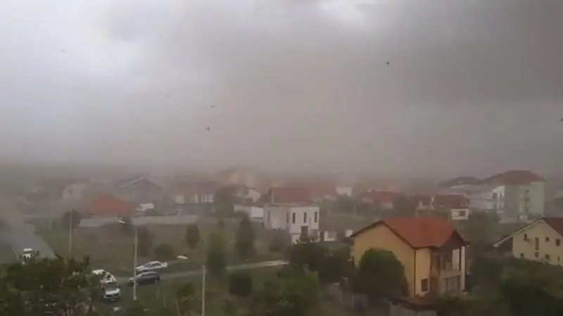 timisoara