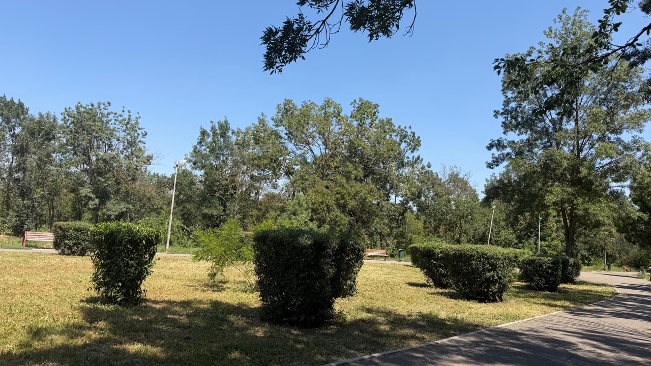 parcul-nicolae-balcescu-rosiori-02