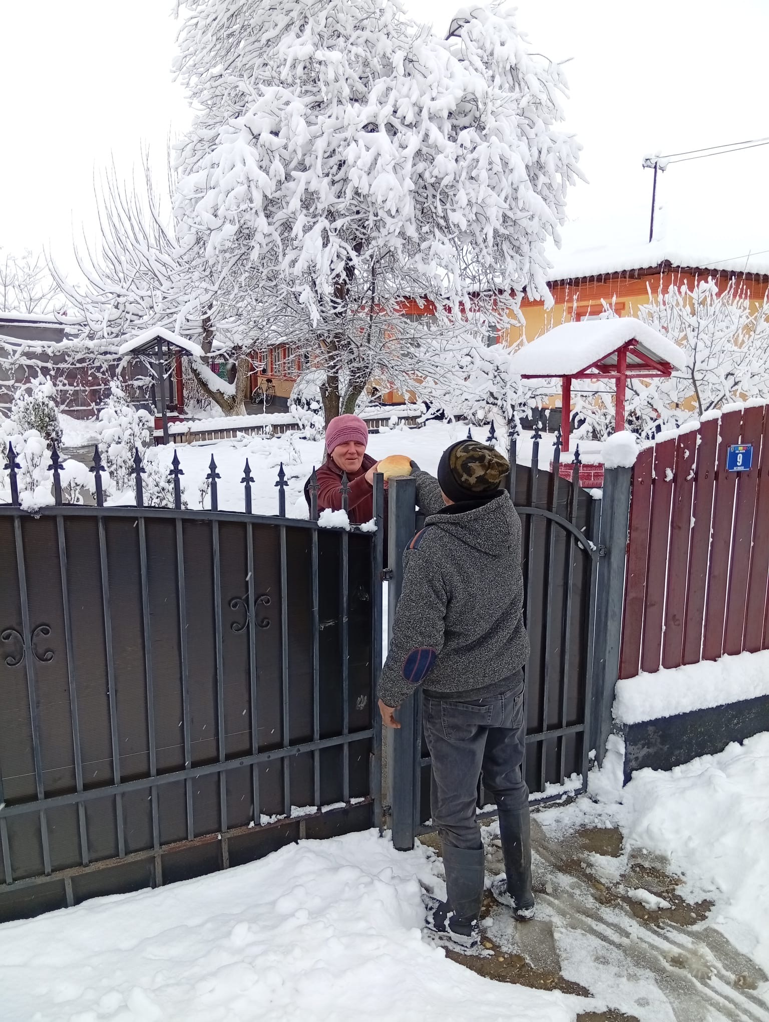 335de34e-2bba-4ed2-a458-7b4deacbcefa