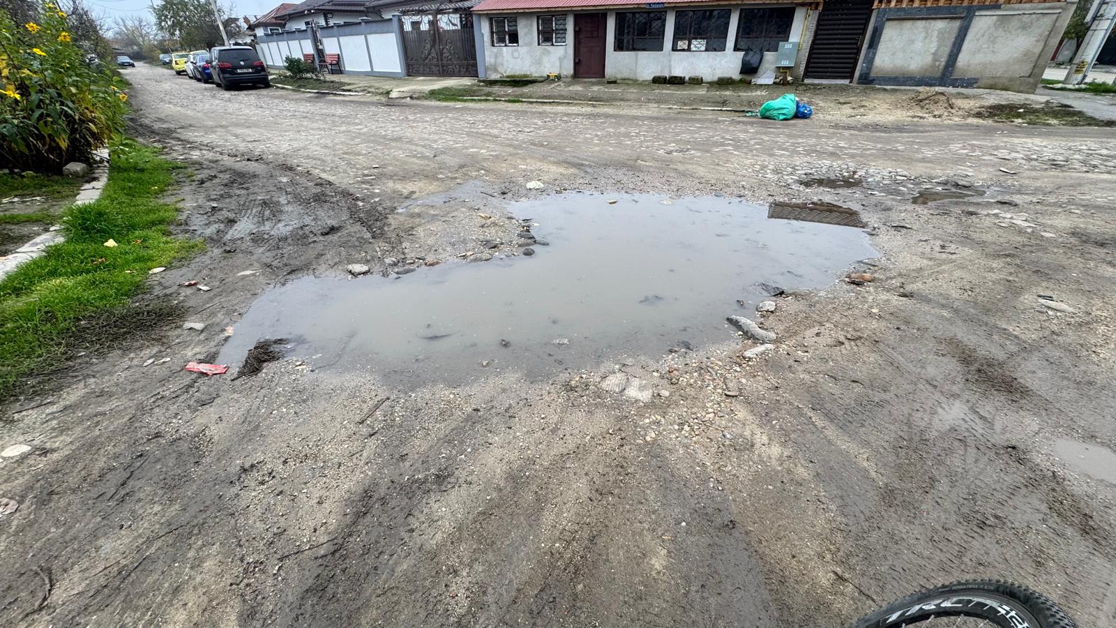 balta-strada-rosiori de vede