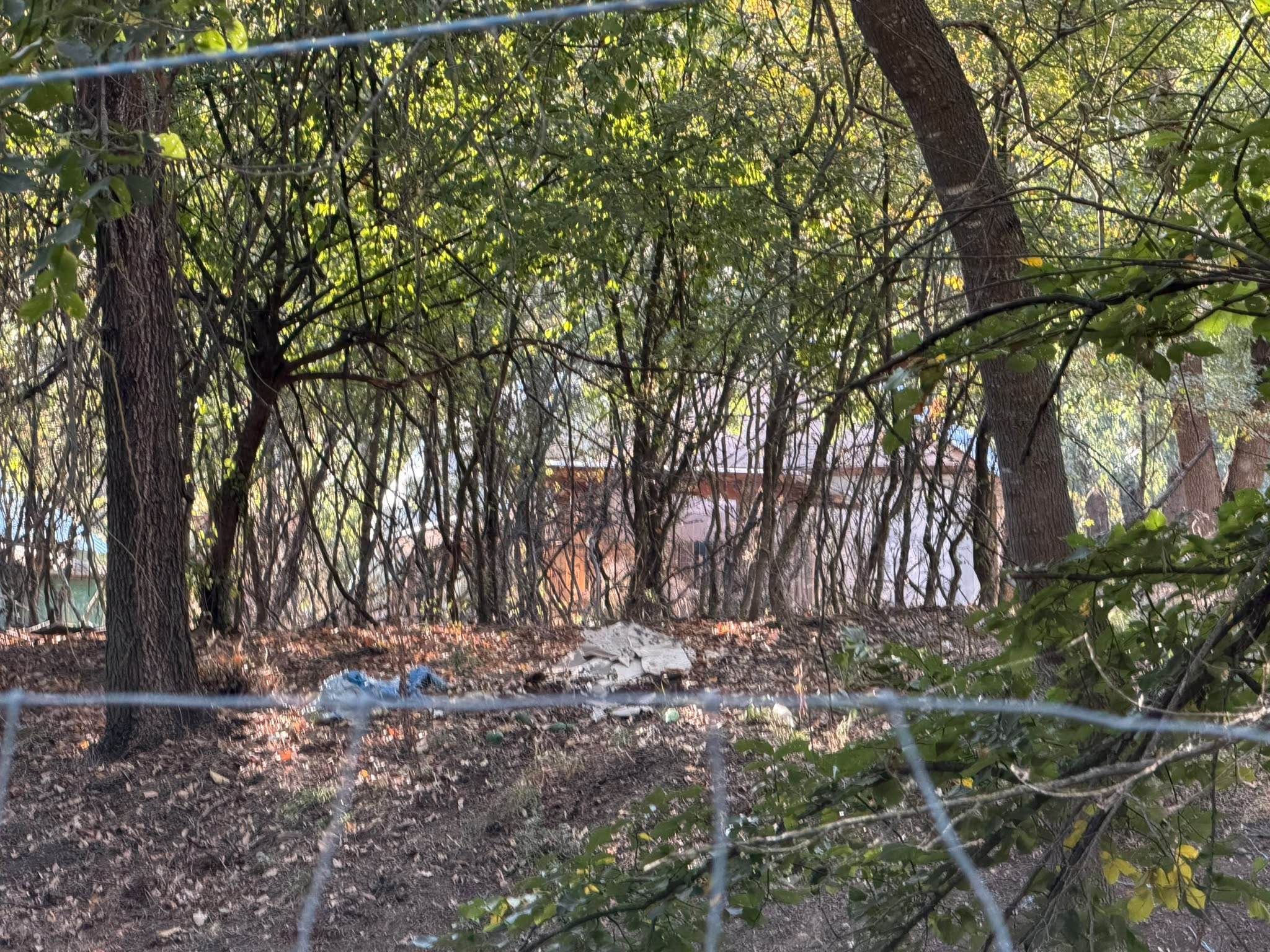 Clădire surprinsă prin vegetație și împrejmuire. Foto: documentare 24newsro