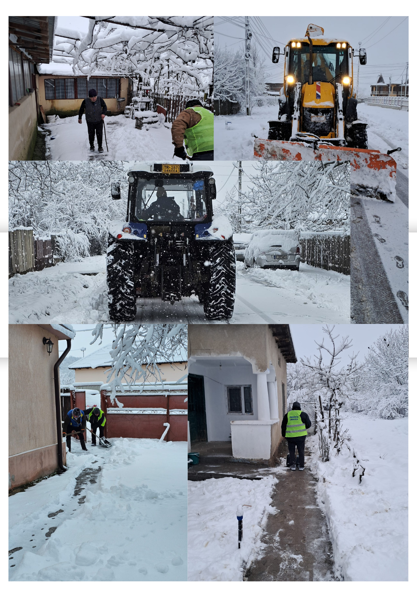 dracea-teleorman-deszapezire