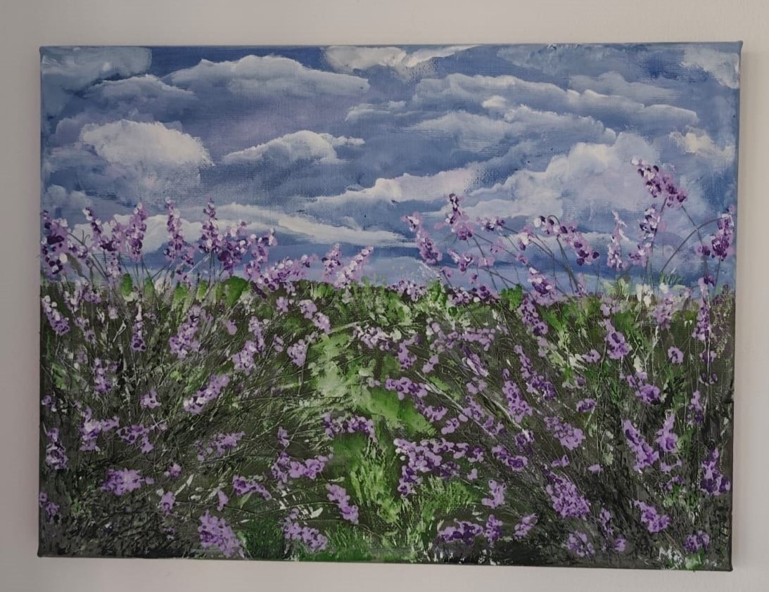 Câmp de lavandă dimineața